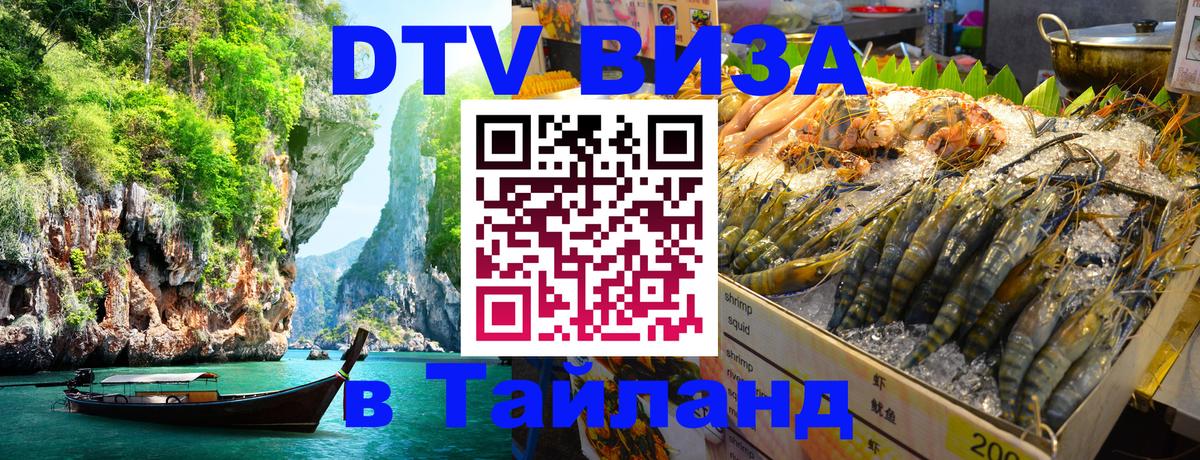 Оформление DTV визы под ключ: стоимость и тарифы, только загранпаспорт - 20.11.2025 